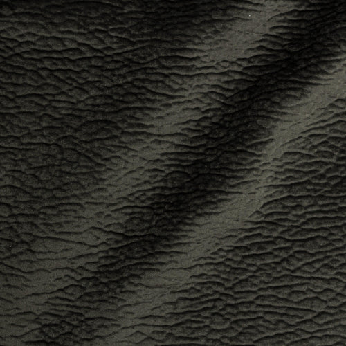 Material Textil Bulldog