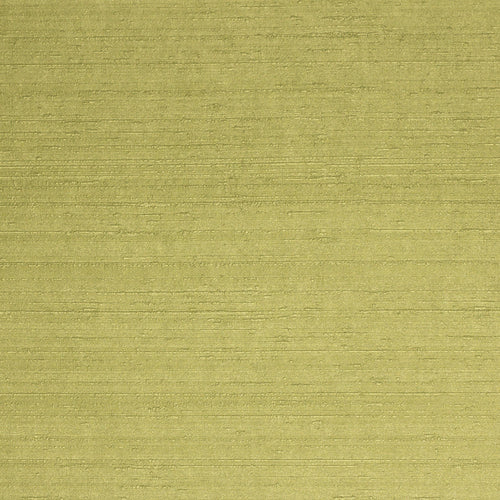 Minta blanca