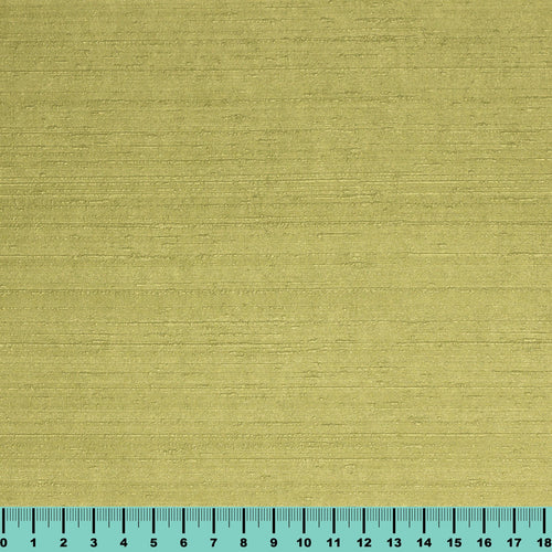 Minta blanca