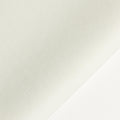Minta blanca