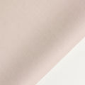 Minta blanca