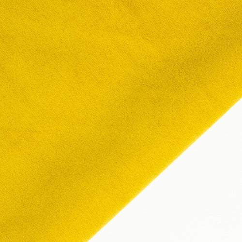 Minta melisa