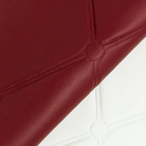 Piele Ecologica Arena