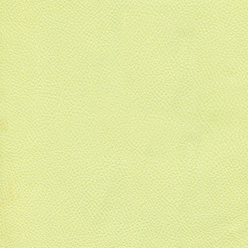 Piele Ecologica Mercedes