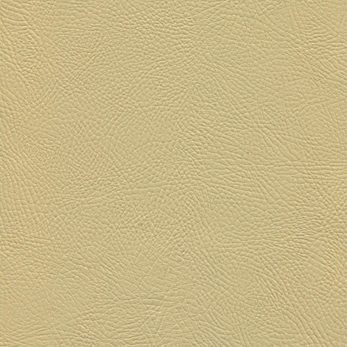 Minta venus