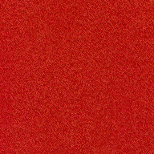 Piele Ecologica Inca